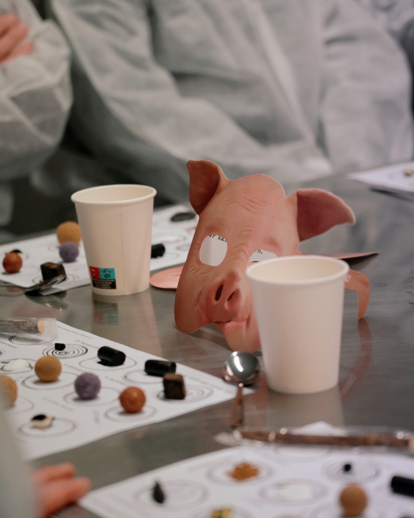 Lakritsprovning - 23 april kl 17:00 i gruppen Lakritsprovning hos Haupt Lakrits AB (100170221)